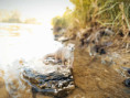 /album/fotogalerie-moje-outside-prace-/martinh-collection-outdoorphotos-august-2025-6-jpg/